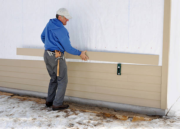 Best Insulated Siding Installation  in Boyd, TX